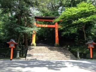 宇佐神宮　鳥居