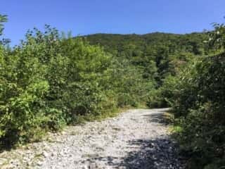 大山登山道