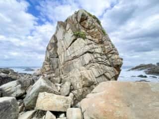 徳之島 ムシロ瀬