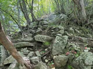 四国八十八ヶ所霊場 第87番札所 長尾寺〜第88番札所 大窪寺