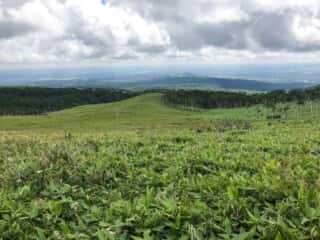 摩周岳登山道からの景色
