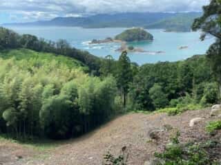 島中心部斜面から海を望む
