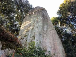 淡路島　岩上神社の神籬石