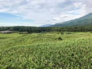 知床五湖 地上遊歩道