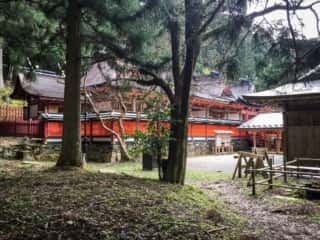 丹生都比売神社 境内
