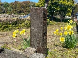 四国八十八ヶ所霊場 第38番札所 金剛福寺～第39番札所 延光寺