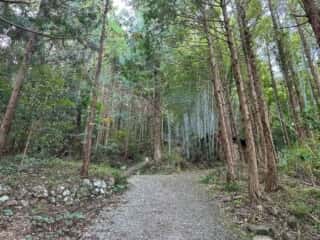 四国八十八ヶ所霊場 第19番札所 立江寺〜第20番札所 鶴林寺
