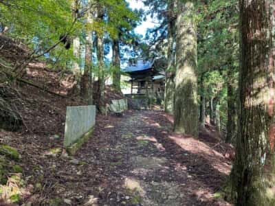 高越山