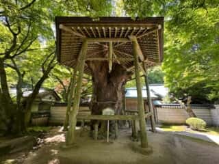 四国八十八ヶ所霊場 第82番札所 根香寺