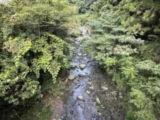 貞光川