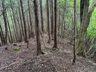 矢筈山・石堂山