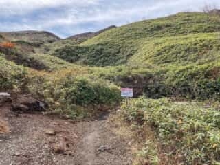 秋田駒ヶ岳登山道