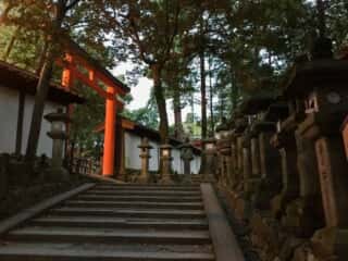春日大社の参道