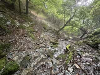 剣山の麓から流れる貞光川の源流