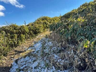一ノ森・槍戸山