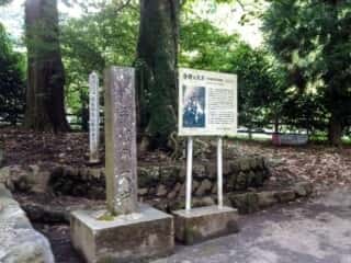 国造神社　手野のスギ
