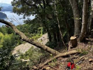 竹ケ島頂上整備工事