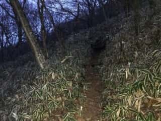 榛名富士　登山道