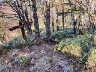 剣山登山道
