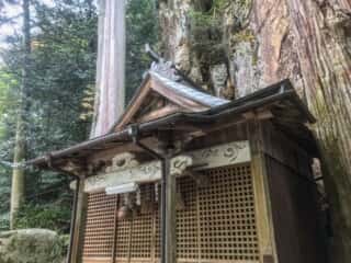 厳石神社　拝殿と磐座
