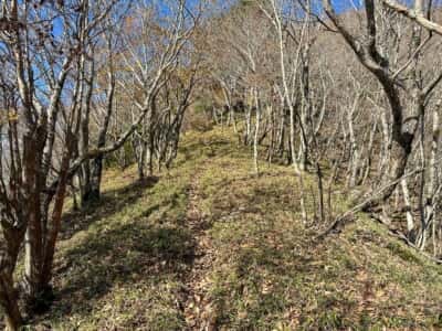 寒峰・烏帽子山