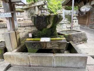 東大寺