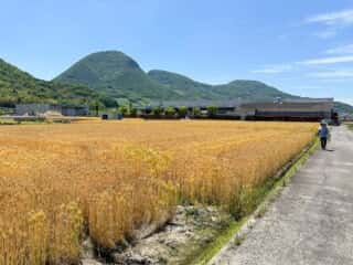 四国八十八ヶ所霊場 第73番札所 出釈迦寺〜第74番札所 甲山寺
