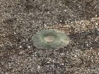 鹿島神宮 要石