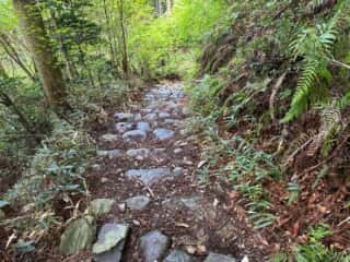 四国八十八ヶ所霊場 第60番札所 横峰寺〜第61番札所 香園寺奥の院