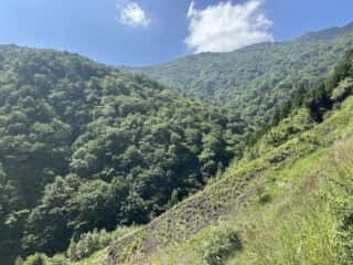 急斜面