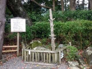 吉水院庭園