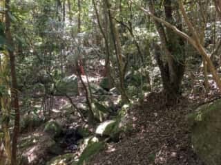 大山津見神社