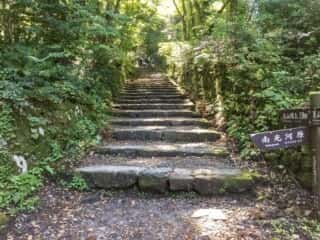 大山登山道