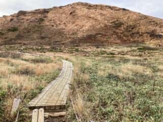 秋田駒ヶ岳登山道