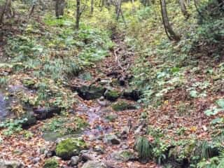 白神岳登山道