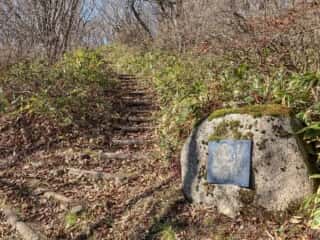 室根山 登山道