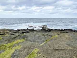 徳之島 犬の門蓋 (めがね岩＋奇石)