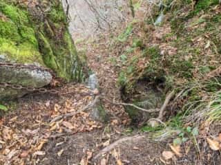 石上登山道