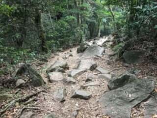 筑波山登山道
