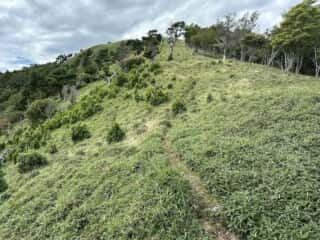 赤帽子山・中尾山