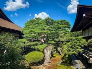 大覚寺　宸殿前庭