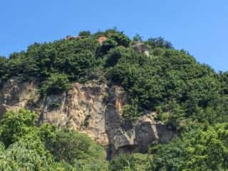 頂上周辺の岩石