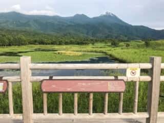 知床五湖 地上遊歩道