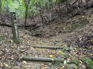 四国八十八ヶ所霊場 第11番札所 藤井寺〜第12番札所 焼山寺