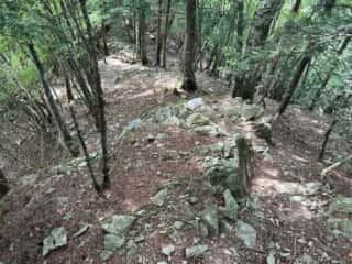 赤帽子山・中尾山