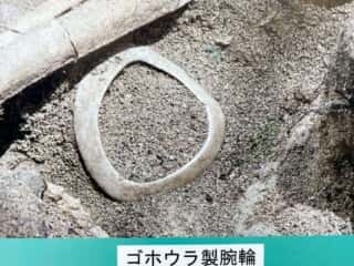 徳之島 トマチン遺跡