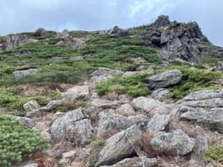 早池峰山 登山道