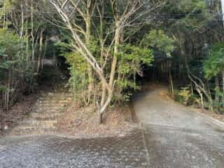 神峯神社
