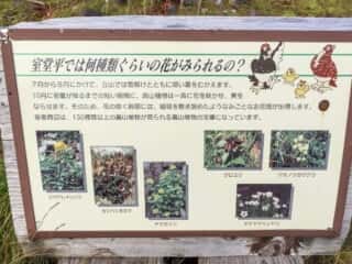 立山