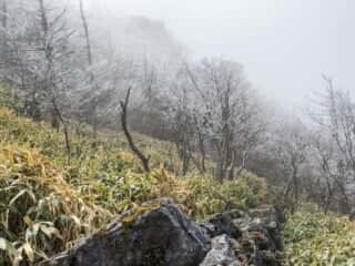 鶴石・亀石への山道